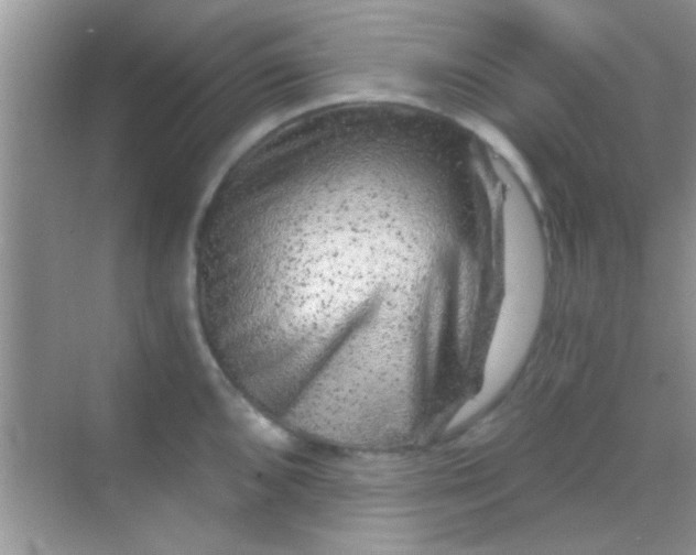 X0000068281096200605051835