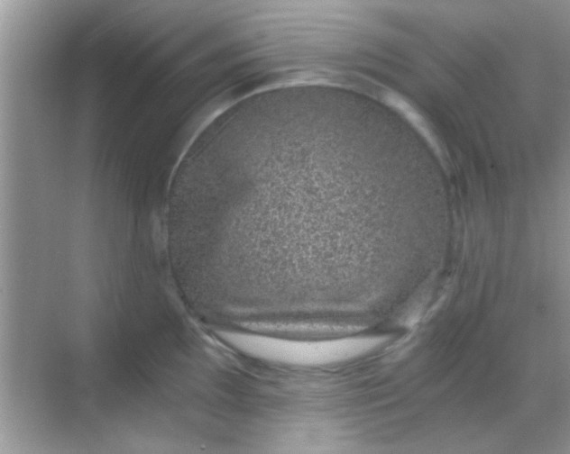 X0000068281097200605051835