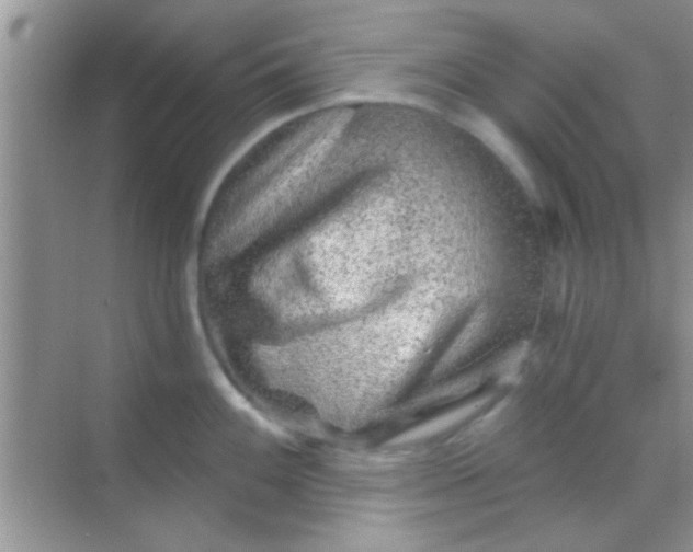 X0000068281100200605051835