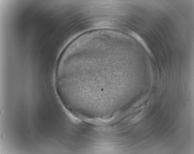 X0000068281101200605051835