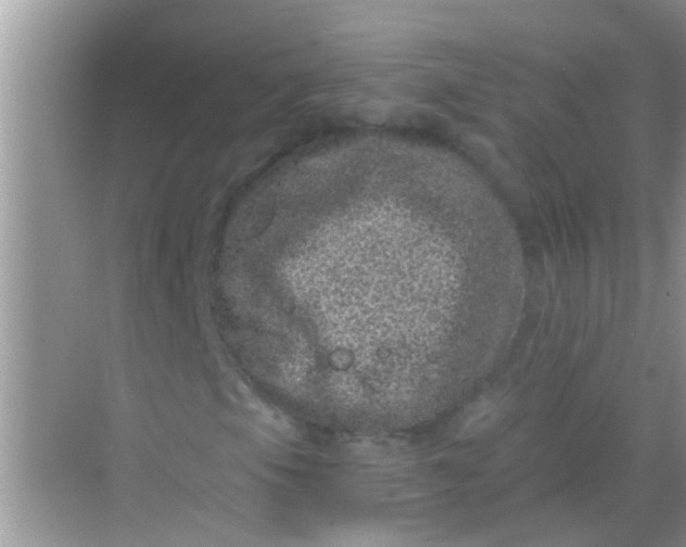 X0000068281105200605051834