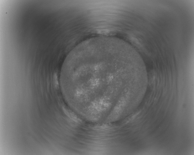 X0000068281106200605051834