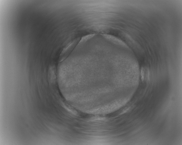 X0000068281107200605051834