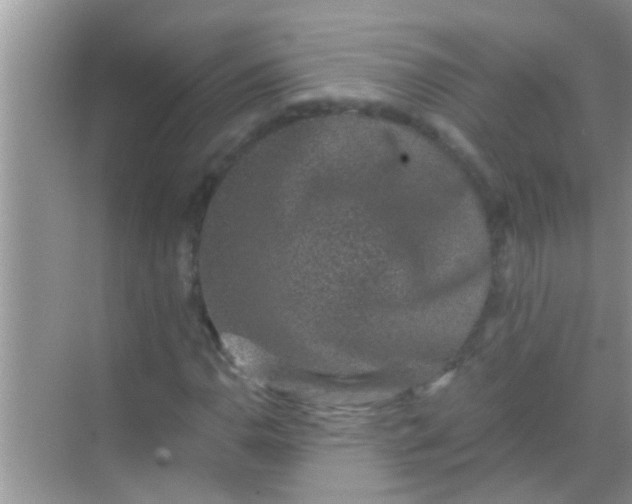 X0000068281110200605051834