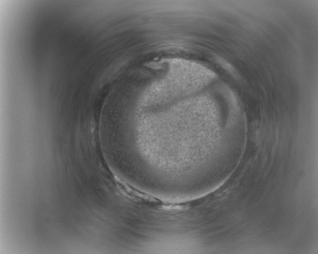 X0000068281111200605051834