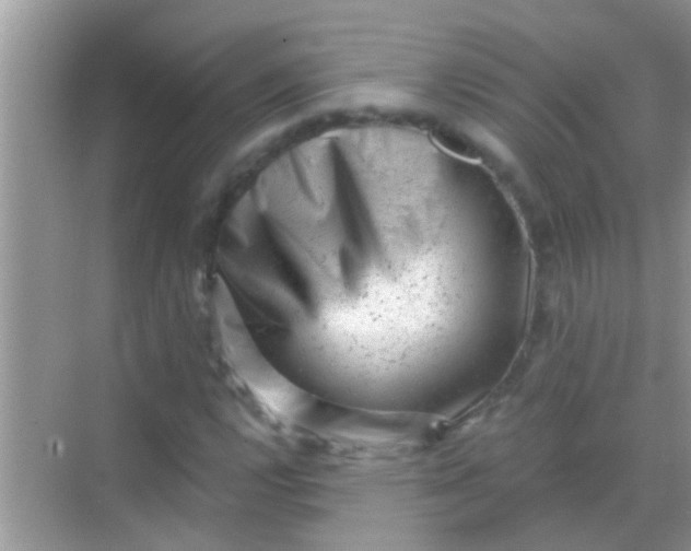 X0000068281112200605051834