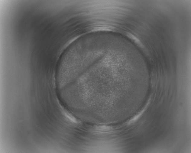 X0000068281113200605051834