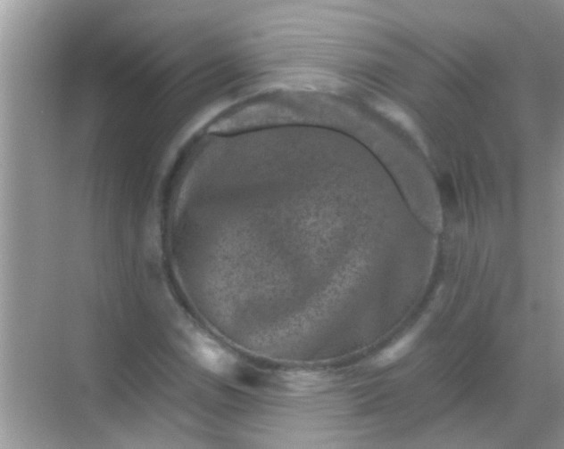 X0000068281114200605051834