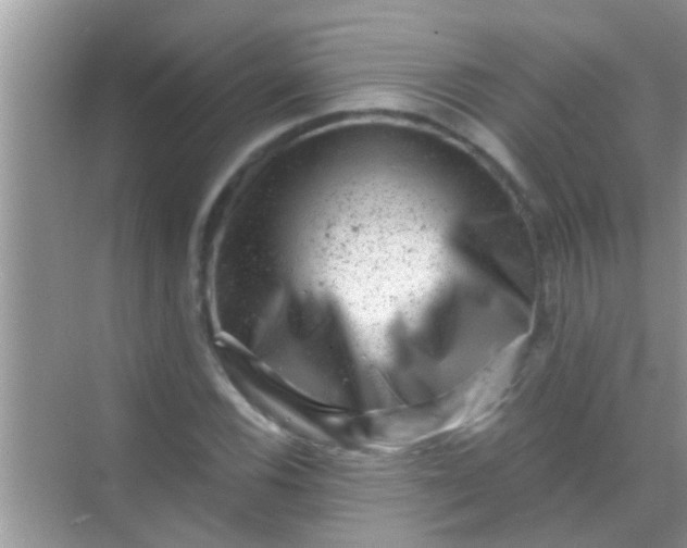 X0000068281116200605051834