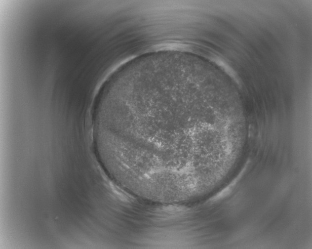 X0000068281117200605051834