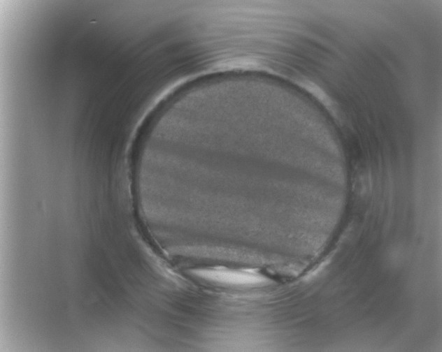 X0000068281118200605051834