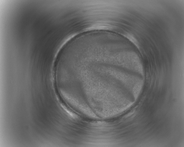 X0000068281119200605051834