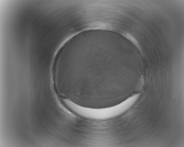 X0000068281120200605051834