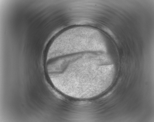 X0000068281122200605051834