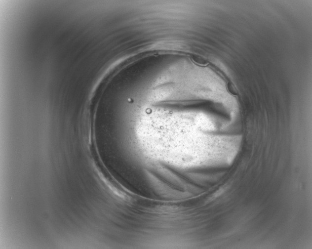 X0000068281123200605051834