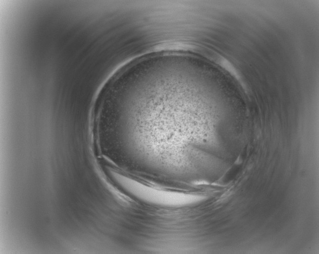 X0000068281124200605051834