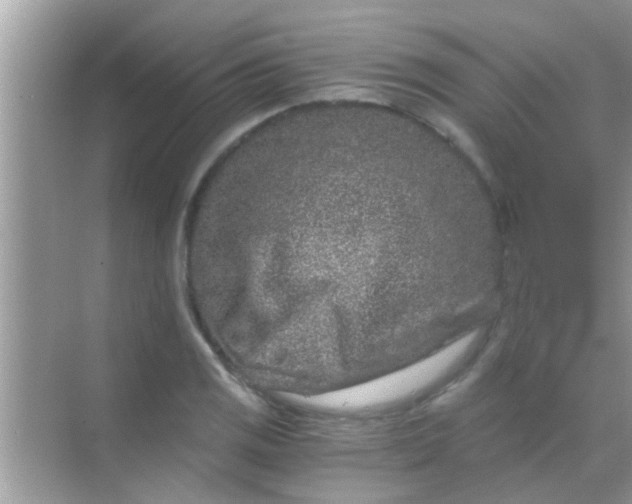 X0000068281125200605051834