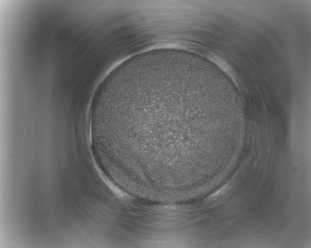 X0000068281127200605051834