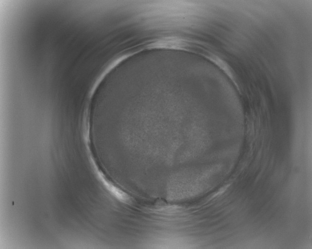 X0000068281131200605051835