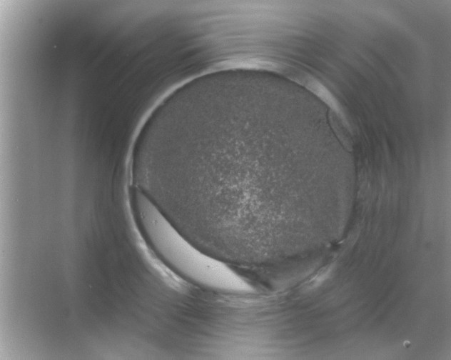 X0000068281132200605051835