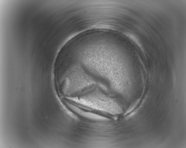 X0000068281133200605051835