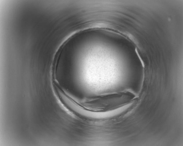 X0000068281134200605051835