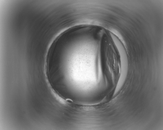 X0000068281136200605051835