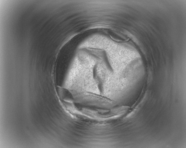 X0000068281137200605051835