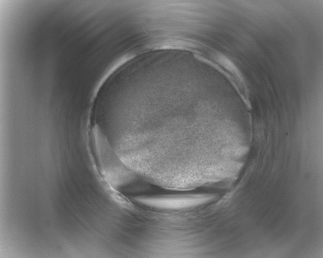 X0000068281138200605051835