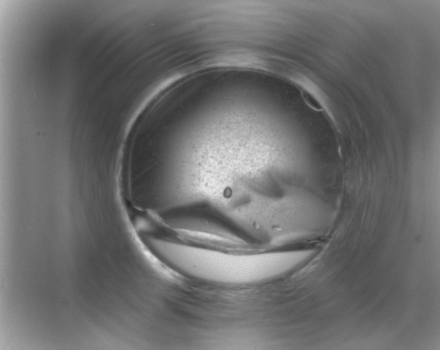 X0000068281139200605051835