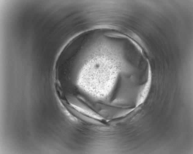 X0000068281140200605051835