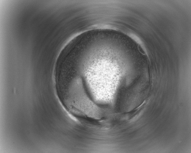 X0000068281141200605051835