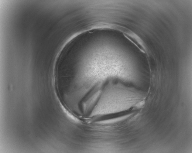 X0000068281143200605051835