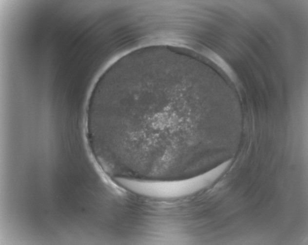 X0000068281144200605051835