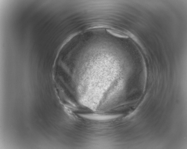 X0000068281145200605051835