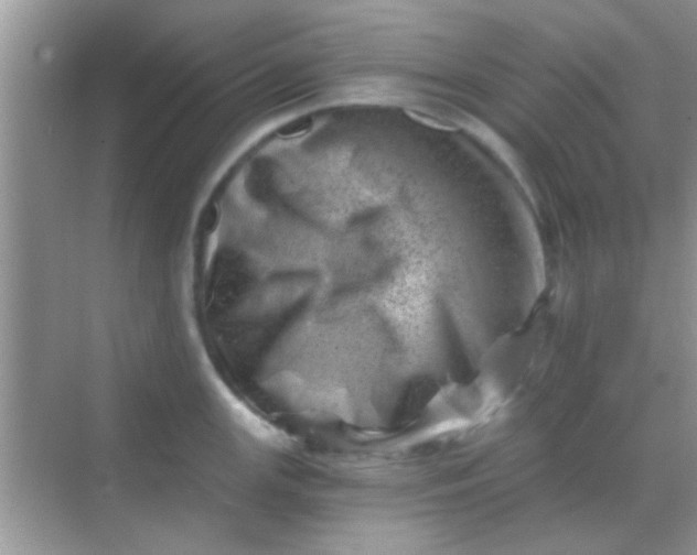 X0000068281147200605051835