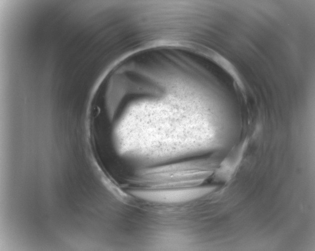 X0000068281148200605051835