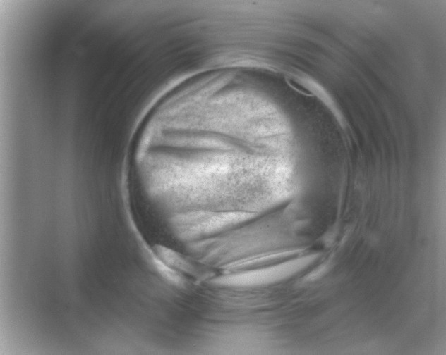 X0000068281149200605051835