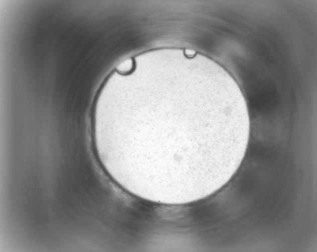 X0000068281150200605051835