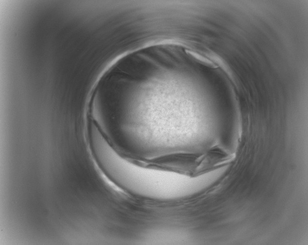 X0000068281151200605051835