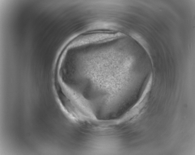 X0000068281152200605051835