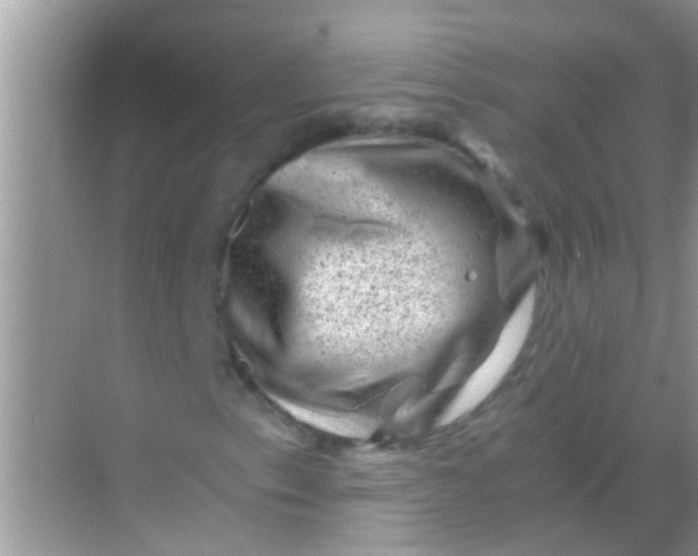 X0000068281153200605051834