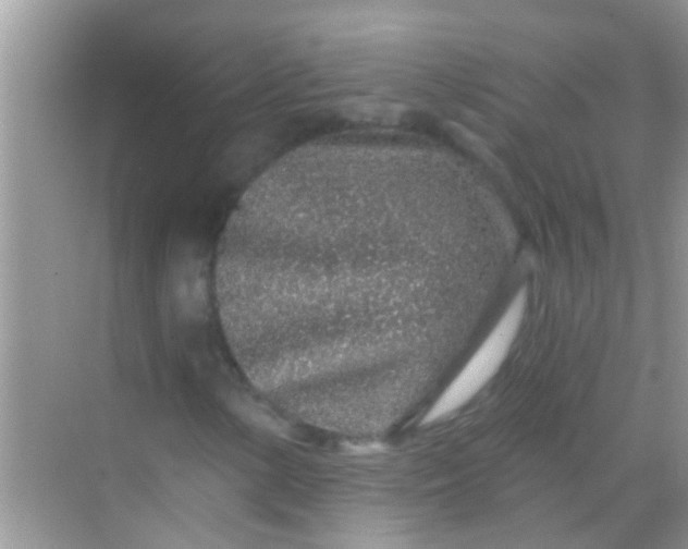 X0000068281154200605051834