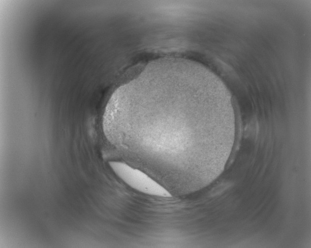 X0000068281156200605051834