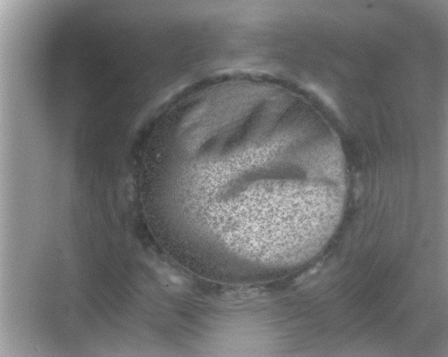 X0000068281159200605051834