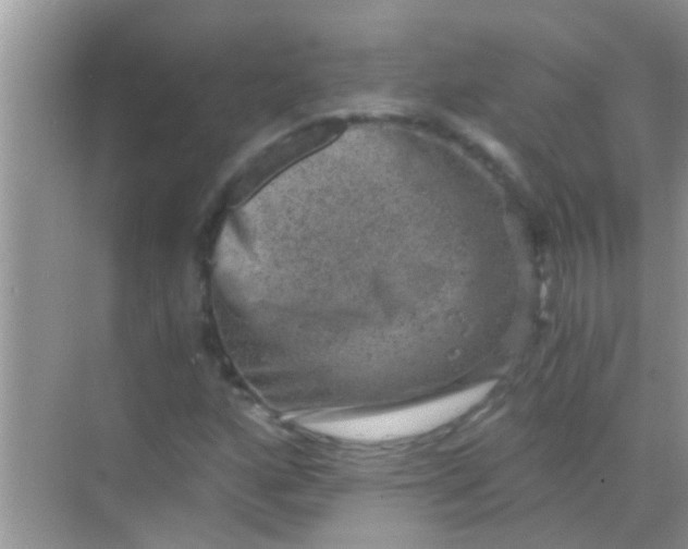 X0000068281160200605051834