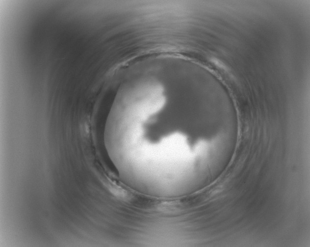 X0000068281161200605051834