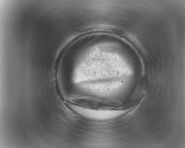 X0000068281164200605051834