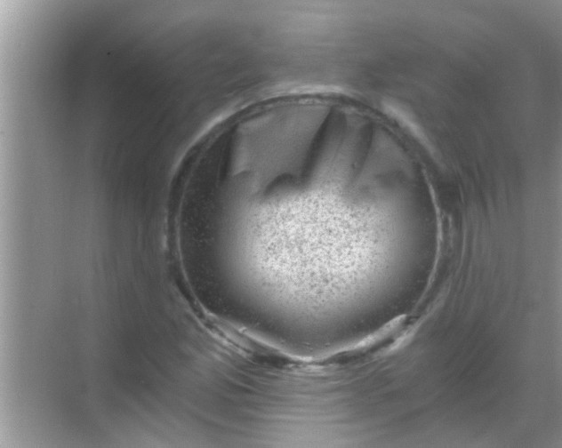 X0000068281165200605051834