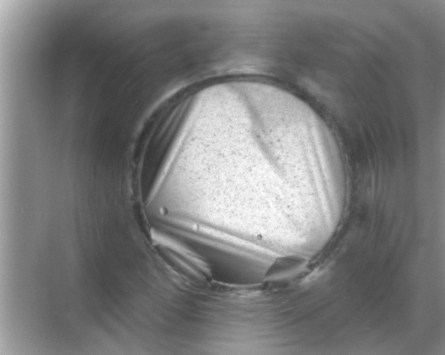 X0000068281166200605051834